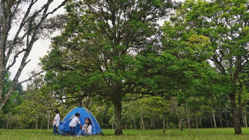 Lokasi Kemah Kebun Raya Bedugul